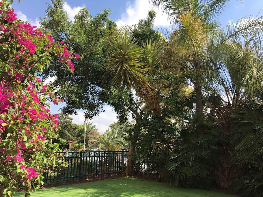 אפרטהוטל רחובות Pool & Garden מראה חיצוני תמונה